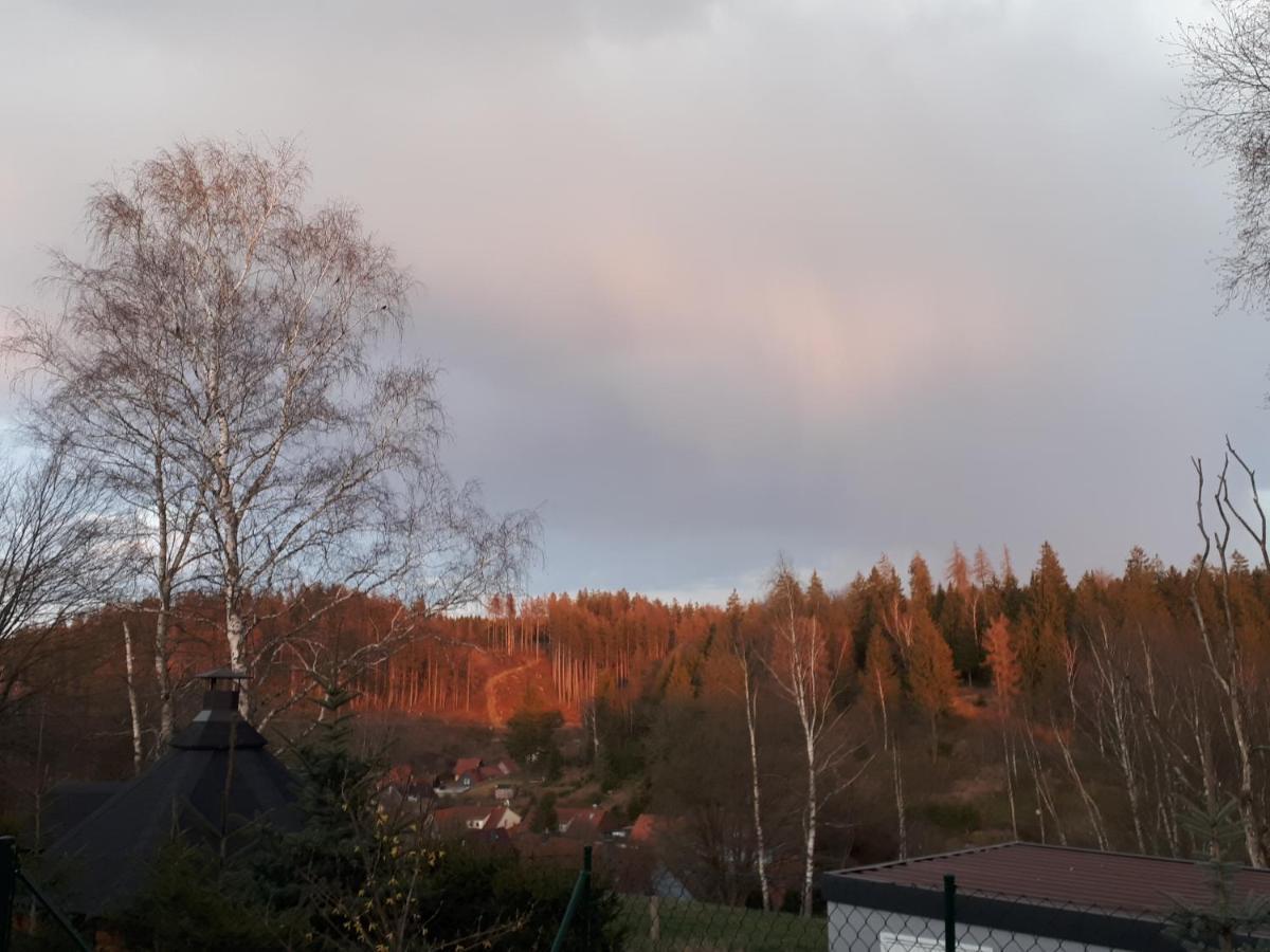 Behagliches Ferienhaus Zaunkoenig -Mit Kamin Und Sauna Tanne Zewnętrze zdjęcie