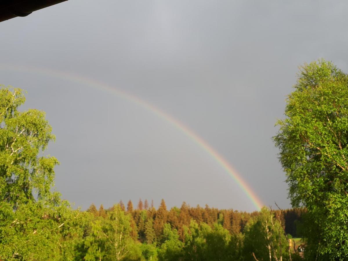Behagliches Ferienhaus Zaunkoenig -Mit Kamin Und Sauna Tanne Zewnętrze zdjęcie