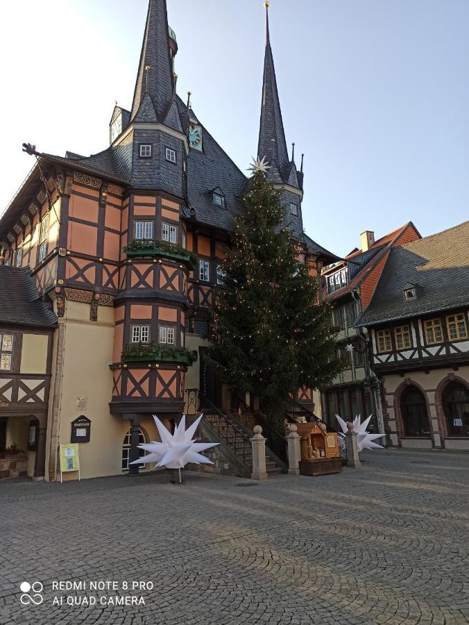 Behagliches Ferienhaus Zaunkoenig -Mit Kamin Und Sauna Tanne Zewnętrze zdjęcie