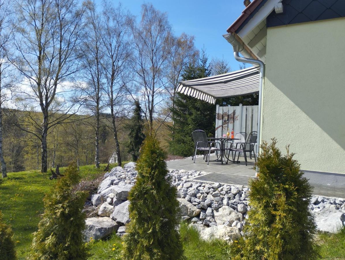 Behagliches Ferienhaus Zaunkoenig -Mit Kamin Und Sauna Tanne Zewnętrze zdjęcie
